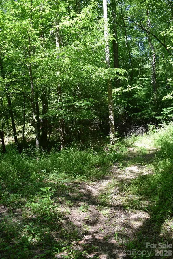0 Floyd Blackwell RD, Tryon, NC 28722