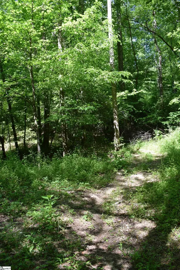 Floyd Blackwell Road, Tryon, NC 28722