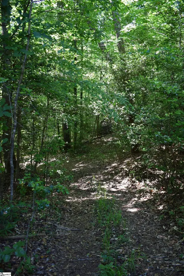 Floyd Blackwell Road, Tryon, NC 28722