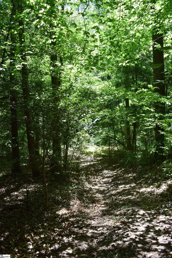 Floyd Blackwell Road, Tryon, NC 28722