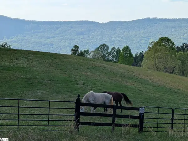 River Park Lane, Mill Spring, NC 28756