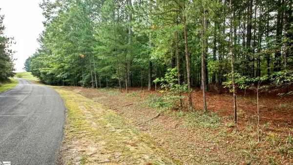 River Park Lane, Mill Spring, NC 28756