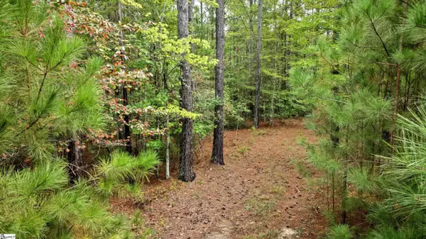 River Park Lane, Mill Spring, NC 28756