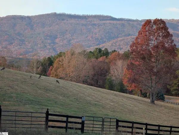 River Park Lane, Mill Spring, NC 28756