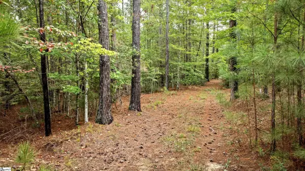 River Park Lane, Mill Spring, NC 28756