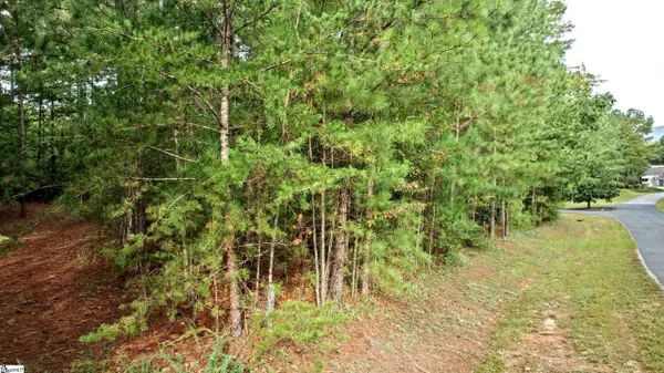 River Park Lane, Mill Spring, NC 28756