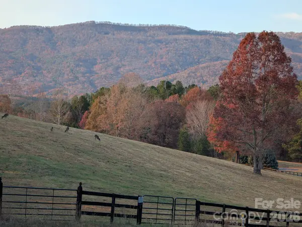 0 River Park LN, Mill Spring, NC 28756