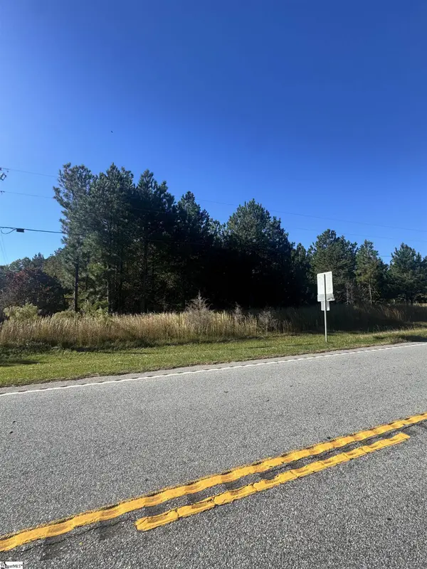 153 Highway 11, Landrum, SC 29356