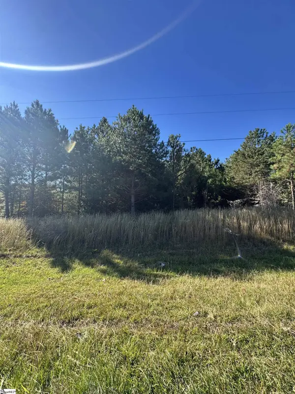153 Highway 11, Landrum, SC 29356
