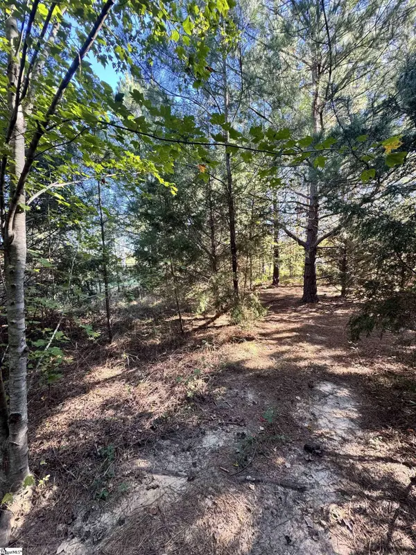 153 Highway 11, Landrum, SC 29356
