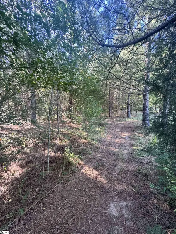 153 Highway 11, Landrum, SC 29356