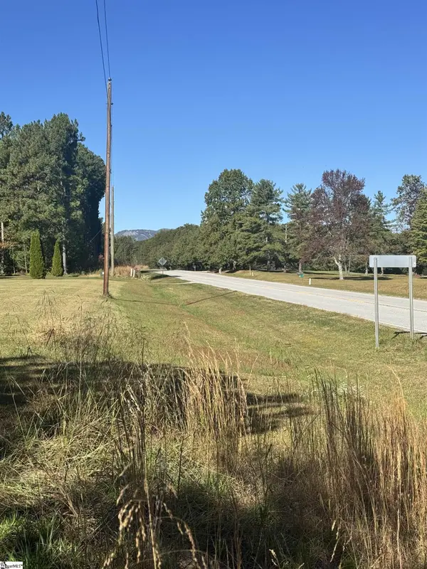 153 Highway 11, Landrum, SC 29356