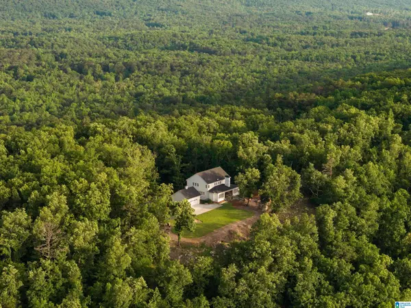 3589 SPRINGSTONE TRAIL, Leeds, AL 35094
