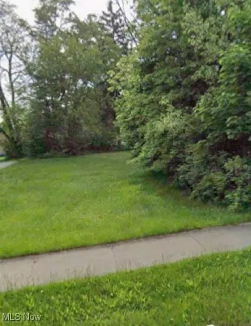 VL Mercer AVE, Akron, OH 44320