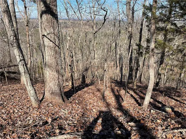 0A Johnson Lake Road #0A, Cedartown, GA 30125