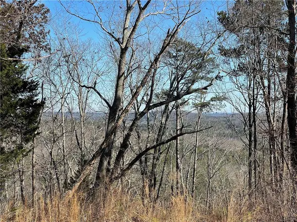 0A Johnson Lake Road #0A, Cedartown, GA 30125
