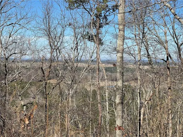 0A Johnson Lake Road #0A, Cedartown, GA 30125