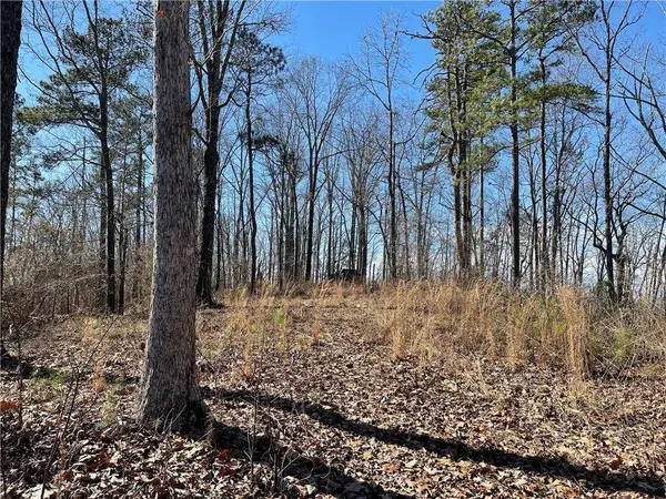 0A Johnson Lake Road #0A, Cedartown, GA 30125