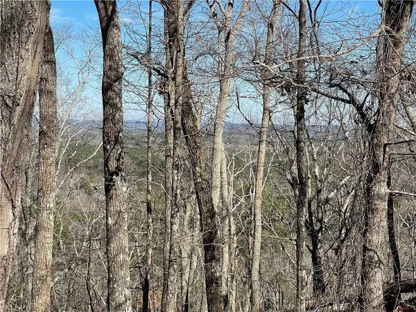 0A Johnson Lake Road #0A, Cedartown, GA 30125