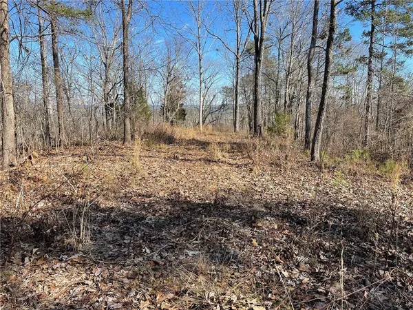 0A Johnson Lake Road #0A, Cedartown, GA 30125