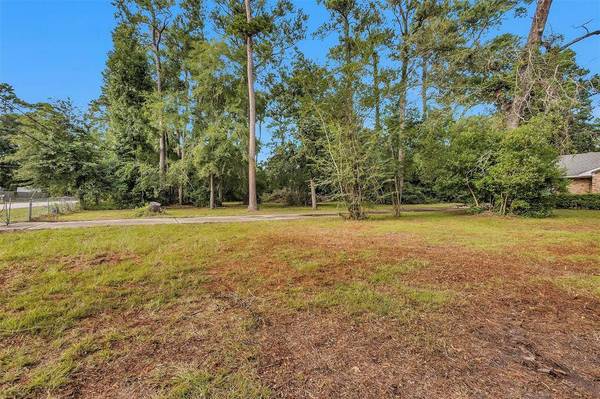 29526 W Hawthorne DR, Spring, TX 77386