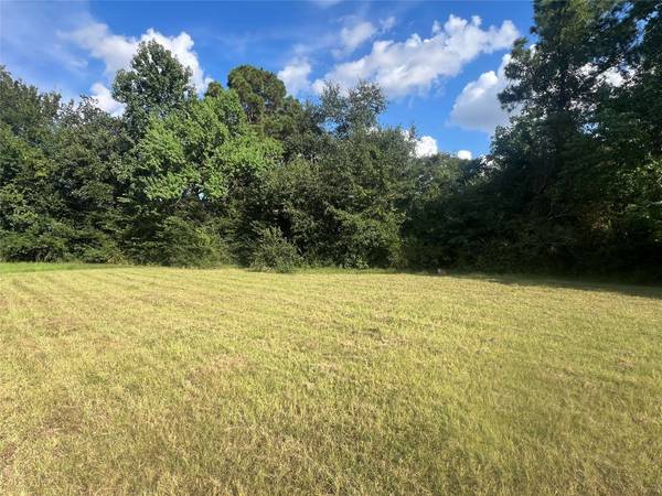 6511 Hoads Deuce CT, Spring, TX 77379