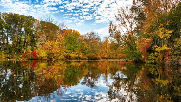 Discover the Charm of Medford Lakes, NJ: Rustic Lakeside Living in South Jersey