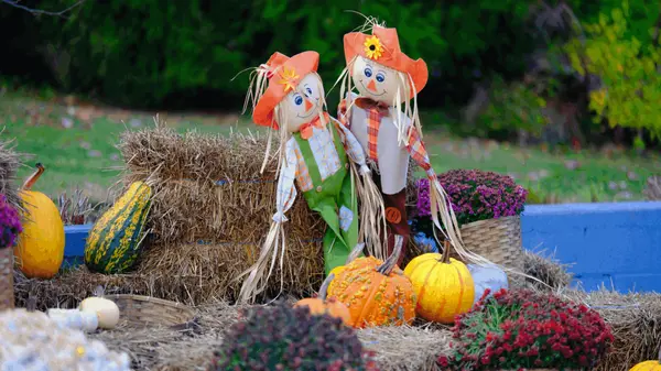 feature image of 2026 Fall Festivals in South Jersey: Farms, Food & Family Fun