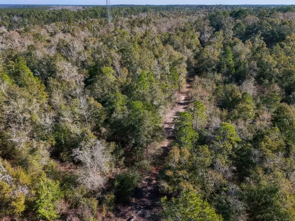 TBD E St Highway 20, Ponce De Leon, FL 32455