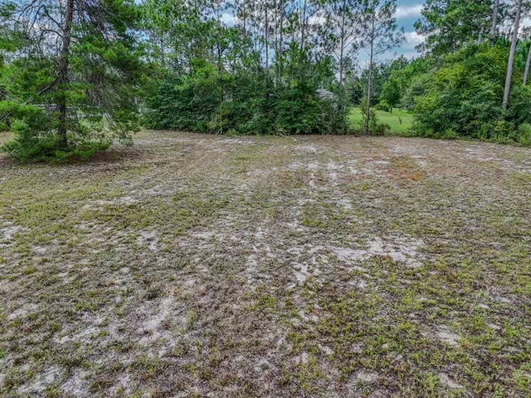 Lot 1A E Club House DR, Freeport, FL 32439