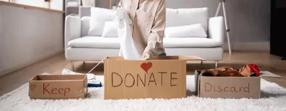 DOWNSIZING TIP [DOWNSIZER DIGEST vol 6.]