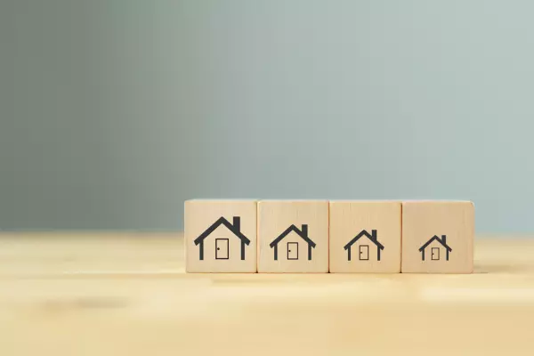 What is Downsizing?,Jess Lex