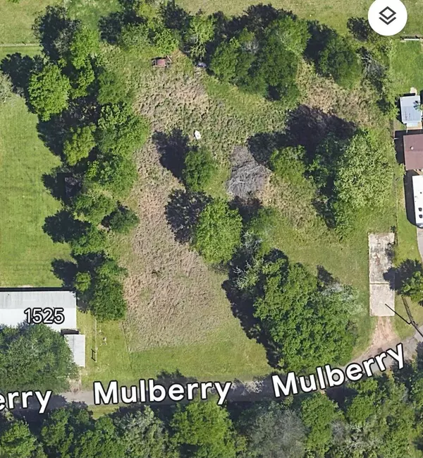 1533 S Cherry ST, Tomball, TX 77375