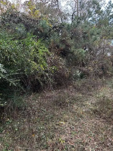 10 Ponderosa CIR, Conroe, TX 77302