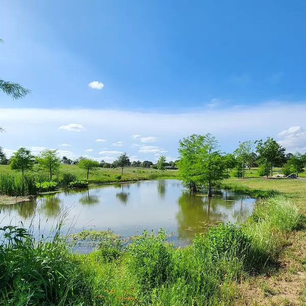 Why Katy’s 77493 Zip Code and Cypress’ 77433 Are the Hottest Spots for Homebuyers,Jeleser Mc Lennon