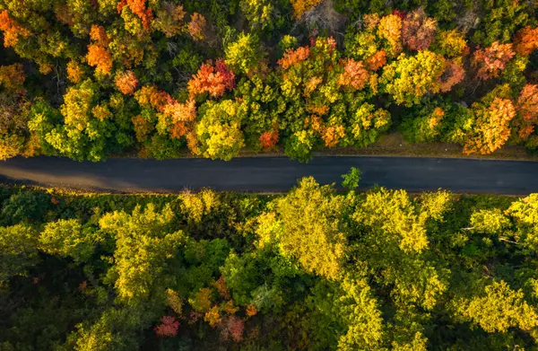 What Makes a House a Good Investment in Utah?
