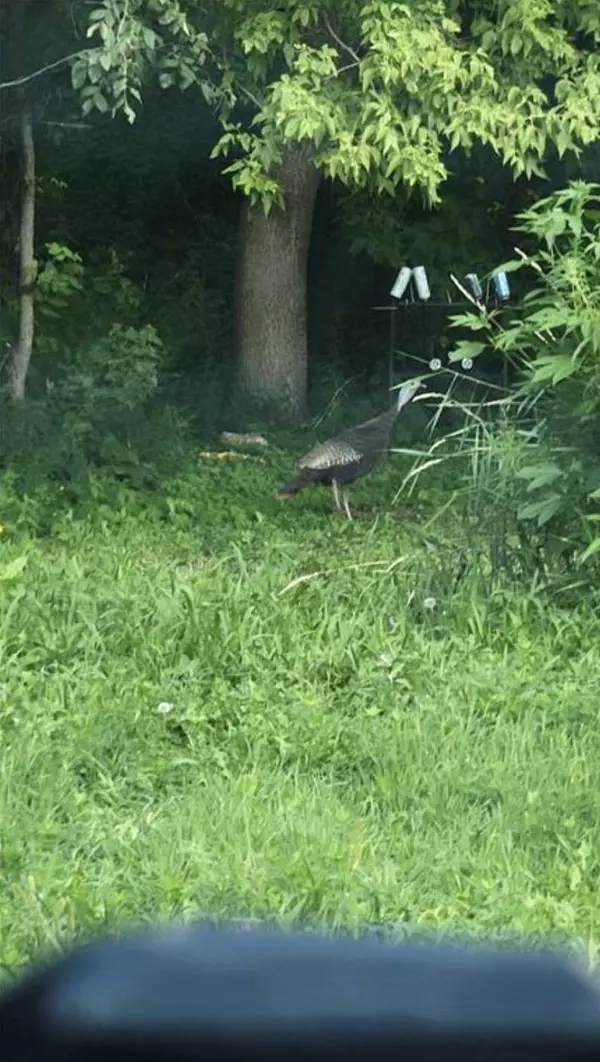 23000 Larsen RD, Corcoran, MN 55340