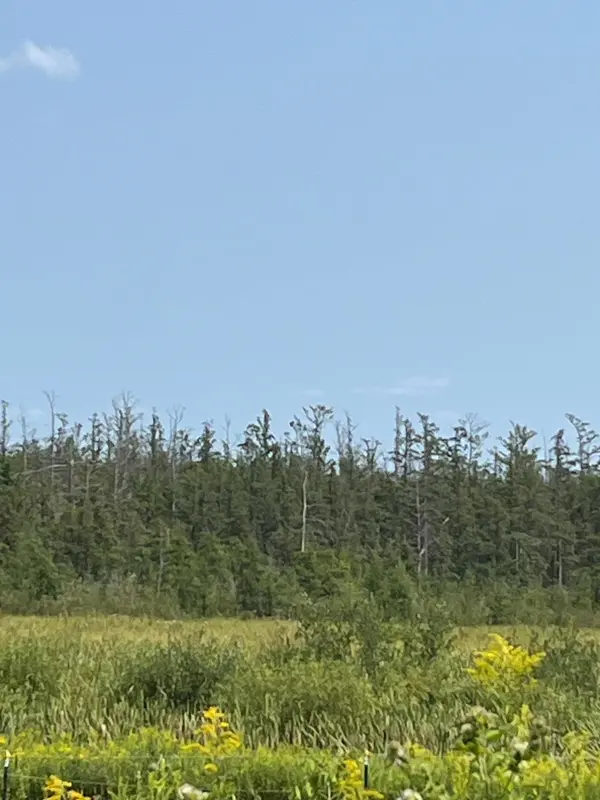 1221 Highway 65, Braham, MN 55006
