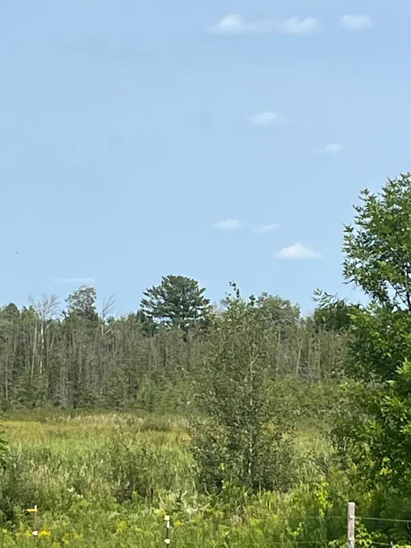 1221 Highway 65, Braham, MN 55006