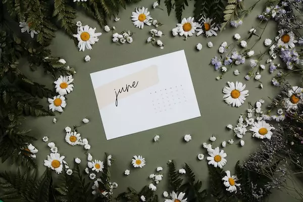 Nashville Monthly Events: June 2025