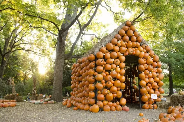 Nashville Monthly Events: October 2025