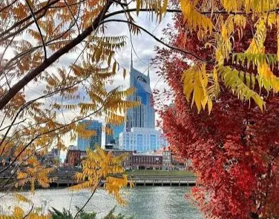 Nashville Monthly Events: November 2026