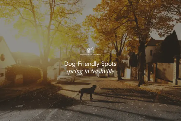 A Guide to Dog-Friendly Spots in Music City,Suzanne Fletcher