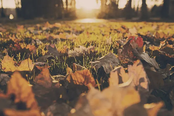 Selling This Fall? You Want To Get These 4 Things Right.