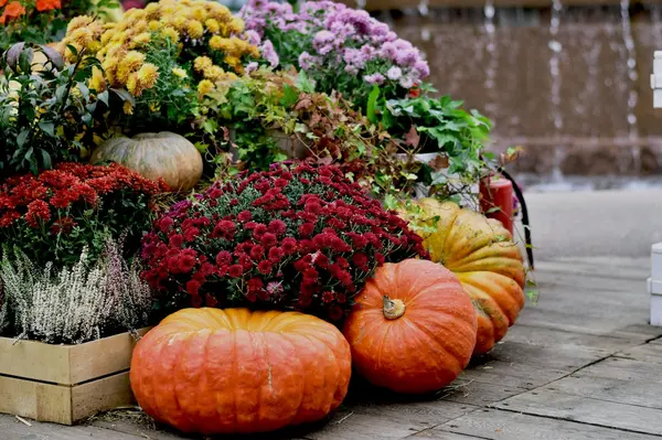 Selling This Fall? You Haven't Missed Your Window