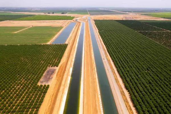 Irrigated Farmland Borunda group