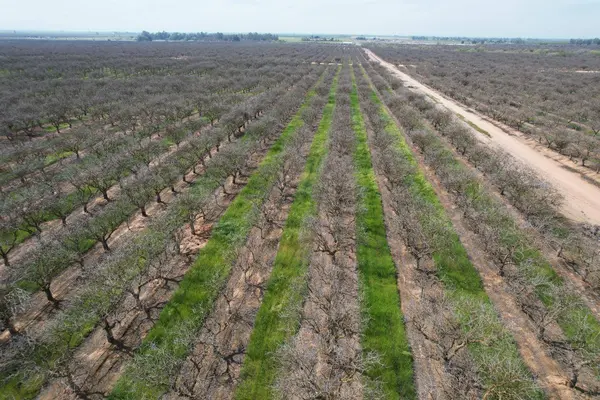 0 Ave 20 1/2, Madera, CA 93638