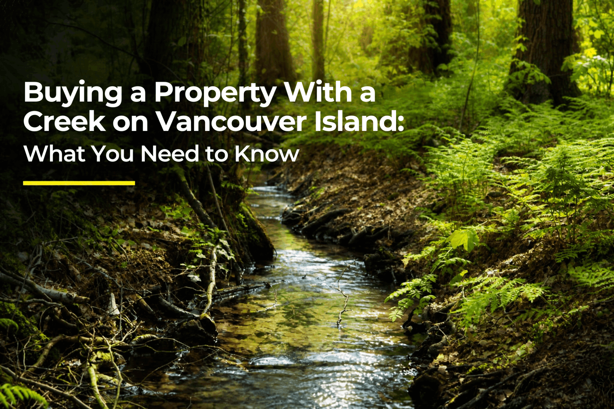 Buying a property with a creek on Vancouver Island