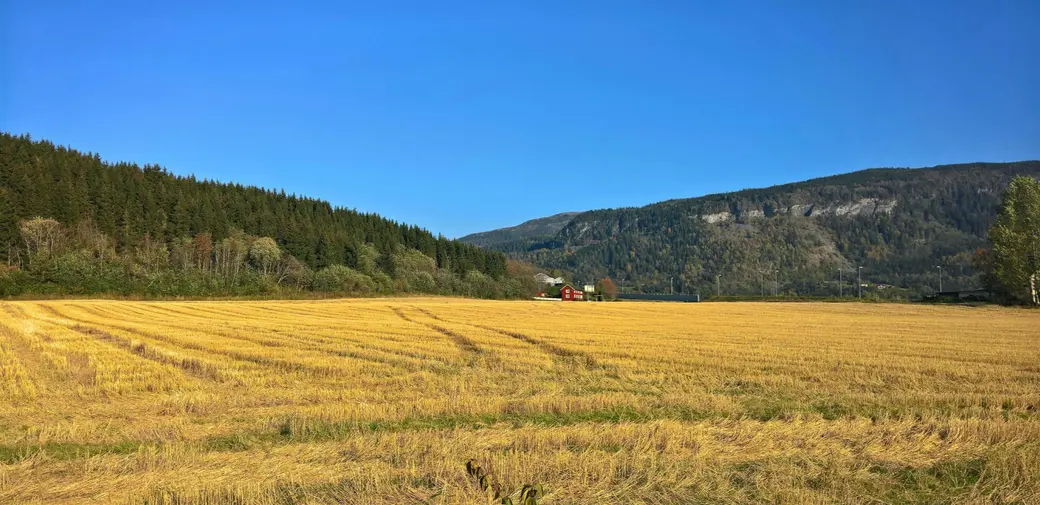 ALR Properties on Vancouver Island: What You Can and Cannot Do