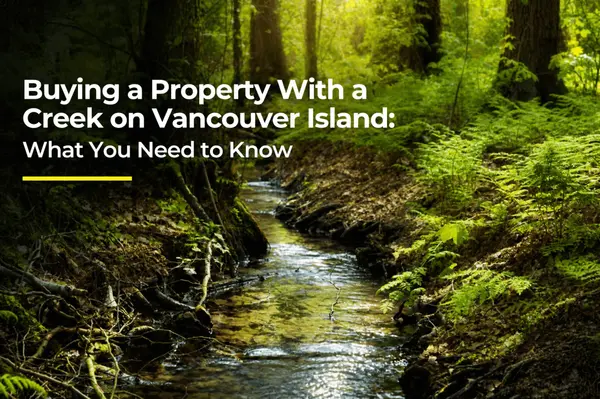 Buying a Property With a Creek on Vancouver Island: What You Need to Know